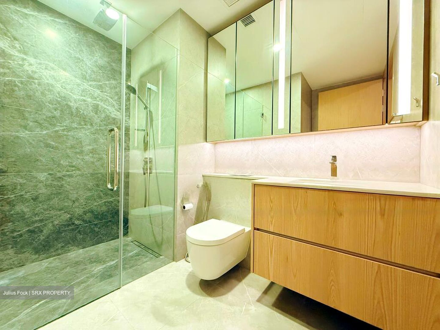 Peak Residence (D11), Condominium #482284651